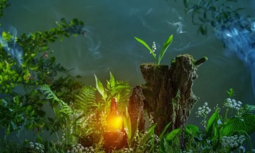 Magic The Gathering,